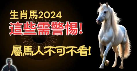 屬馬人|2024屬馬幾歲、2024屬馬運勢、屬馬幸運色、財位、禁忌